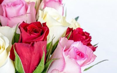 St Valentine’s Dinner 2020