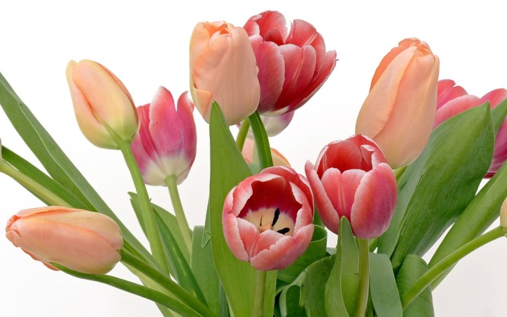 Mother’s Day Lunch