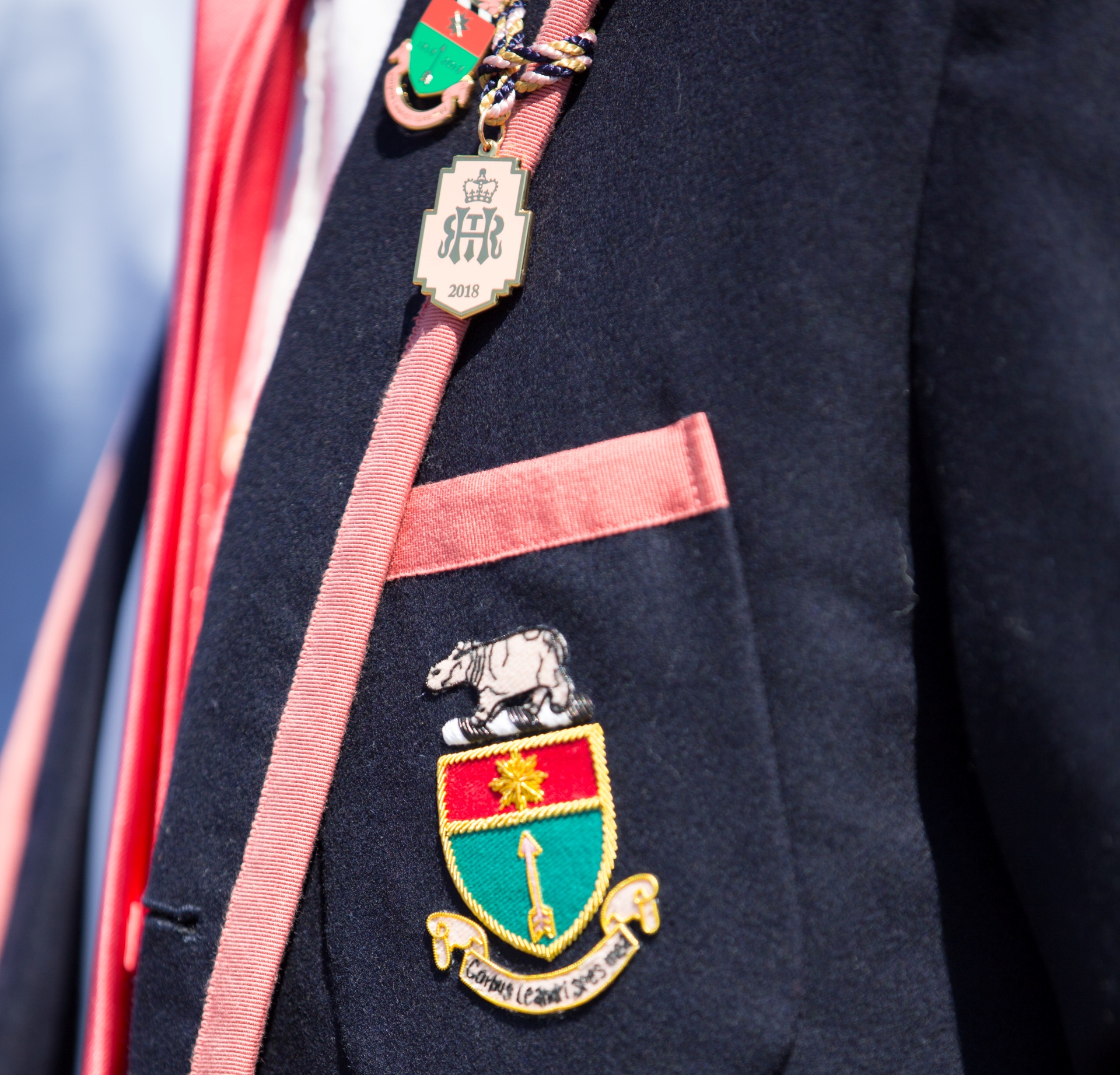 blazer header