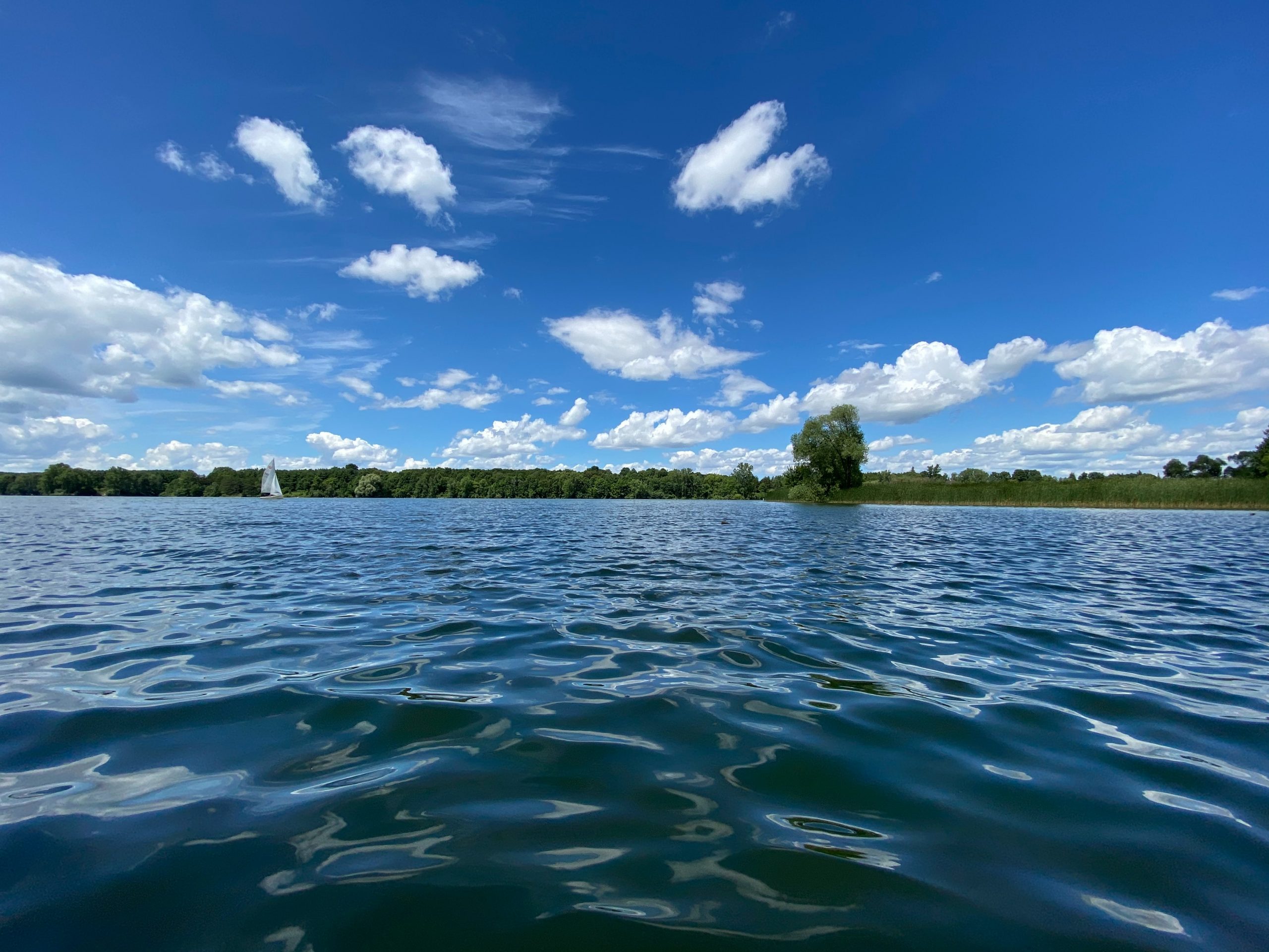 Open water swimming Club at Leander