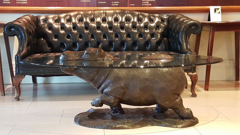 Mark Stoddart Hippo competition