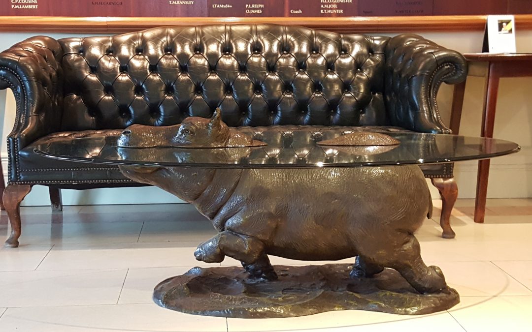 NAME THE HIPPO COMPETITON
