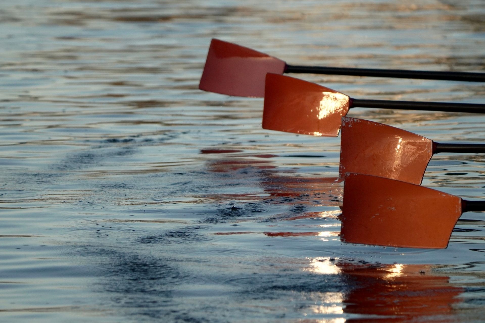 Untitled design (29)