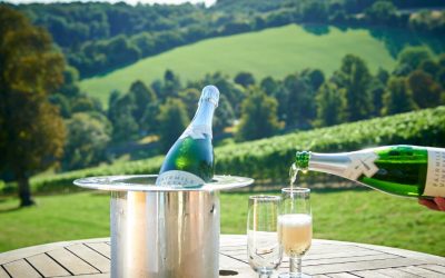 Vineyard picnic package
