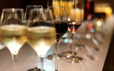 Fine Dining Menu plus Wine Pairings