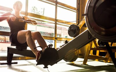 Student ergo champs for novices 