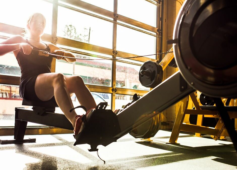 Student ergo champs for novices 