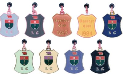 Badges mystery